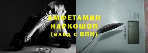 шишки Тавда